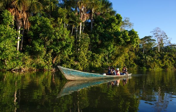 A boat tour cruising down the Amazon A boat tour cruising down the Amazon
