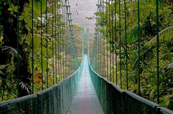 Monteverde hanging bridges Costa Rica Monteverde hanging bridges Costa Rica