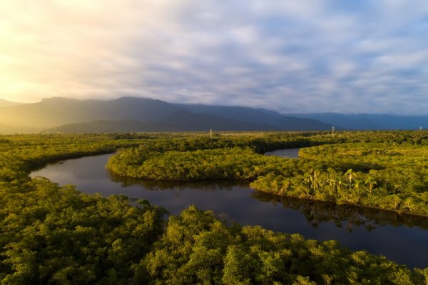 Amazon River Amazon River