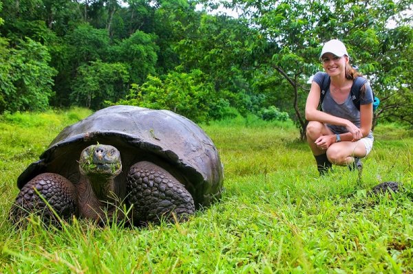 Tourist and a giant tortoise Tourist and a giant tortoise