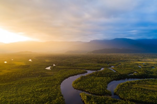 Amazon Rainforest, Brazil Amazon Rainforest, Brazil