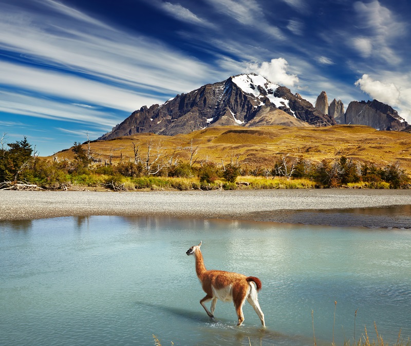 Patagonia Tour Patagonia Tour