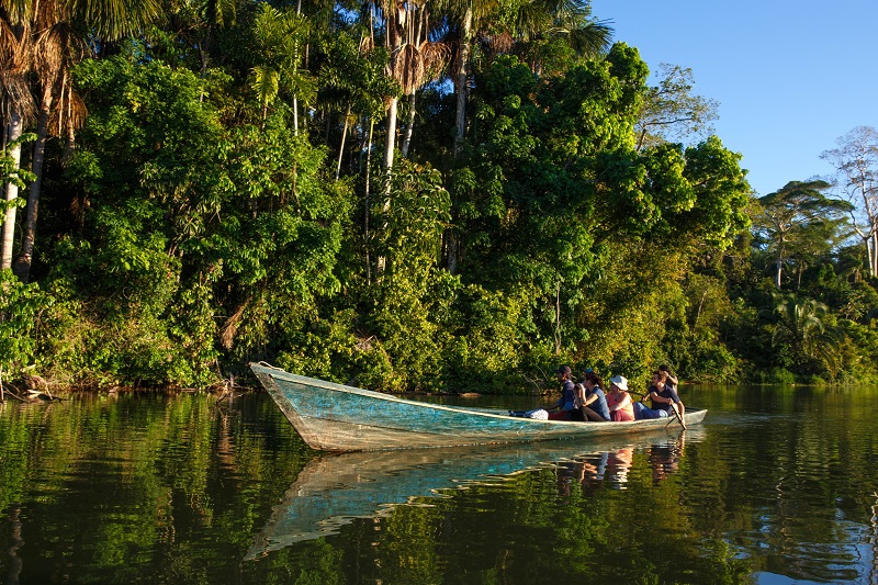 Amazon Rainforest Amazon Rainforest